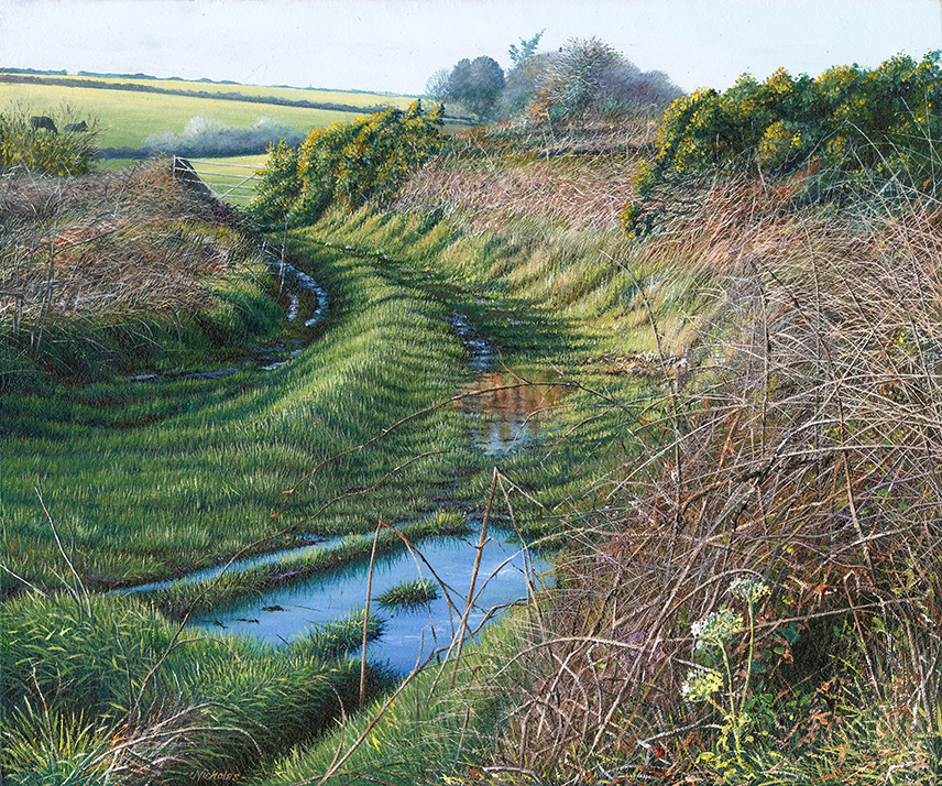 LE841 Irwin's Farm Track - a detailed print of a Cornish farm track by artist Nicholas Smith