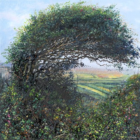 Summer Hedge - a detailed print by artist Nicholas Smith