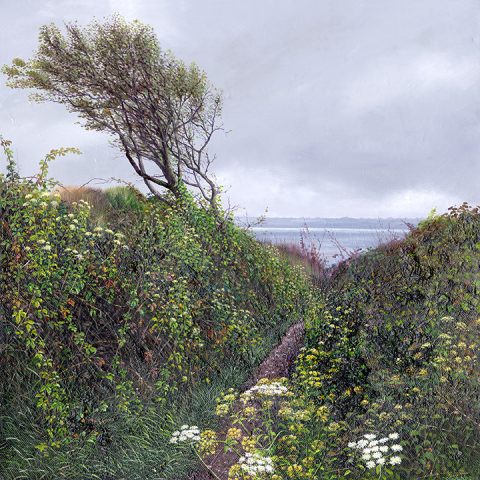 LE822 Path to Polkerris - a detailed print of Polkerris in Cornwall by artist Nicholas Smith
