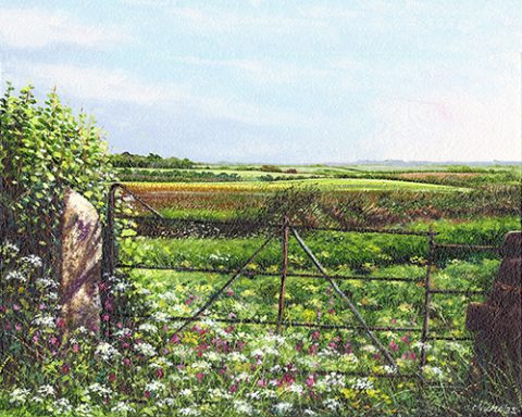 OE15 Cornish Gate - a detailed print by artist Nicholas Smith