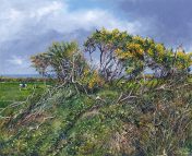 LE842 Spring Gorse - a detailed print of a hedge with gorse in flower by artist Nicholas Smith