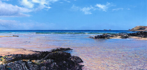 LE860 Low Tide, Constantine Bay - a detailed print by artist Nicholas Smith